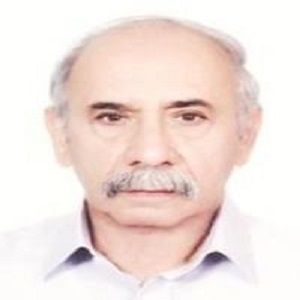 دکتر محمدحسن حقی