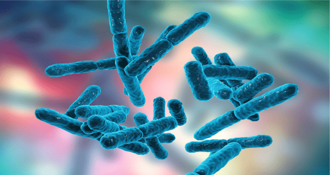 تاثیر باکتری‌ های مفید روده در حفظ ایمنی بدن