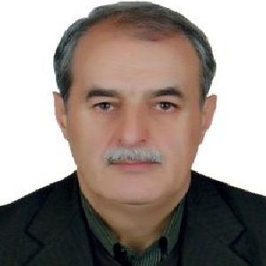 دکتر سید شمس الدین عاملی