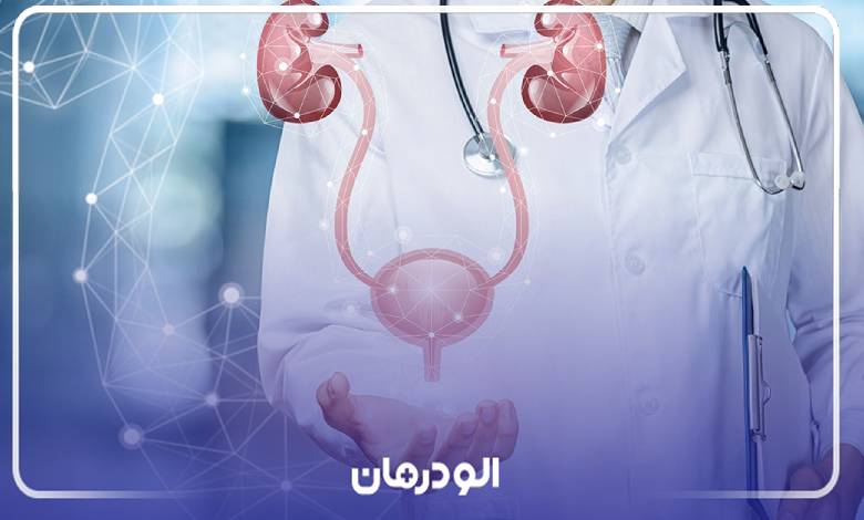 وظایف بهترین دکتر اورولوژی در تهران در مقابل بیماران